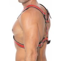 Ouch! Z Series Scottish Harness, Bild 7
