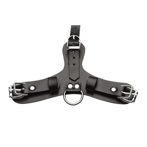 XR Brands Pup - Puppy Play Maske mit Atembar Ballknebel