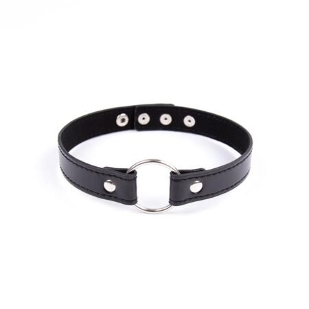 Collar with Hoop Adjustable 38,2cm Black