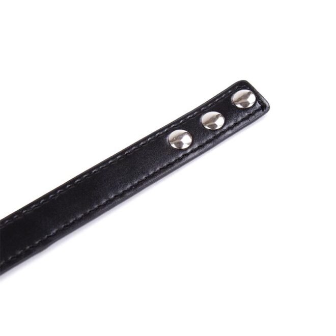 Collar with Hoop Adjustable 38,2cm Black